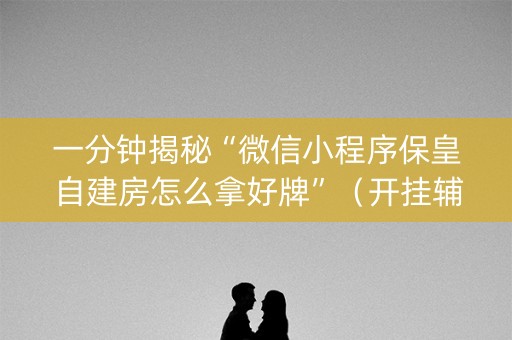 一分钟揭秘“微信小程序保皇自建房怎么拿好牌”（开挂辅助器插件)