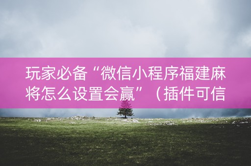 玩家必备“微信小程序福建麻将怎么设置会赢”（插件可信吗)