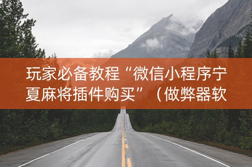 玩家必备教程“微信小程序宁夏麻将插件购买”（做弊器软件下载)