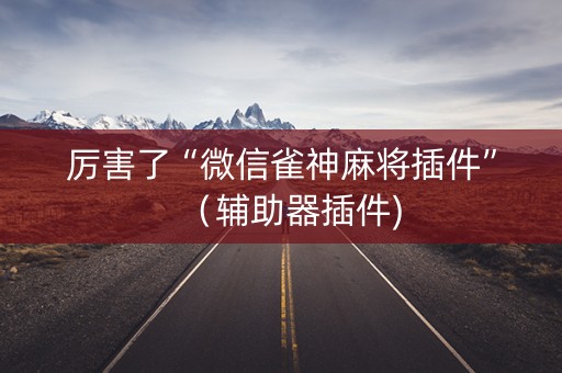 厉害了“微信雀神麻将插件”（辅助器插件)