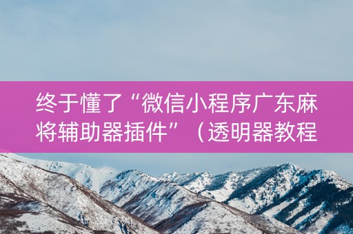 终于懂了“微信小程序广东麻将辅助器插件”（透明器教程)
