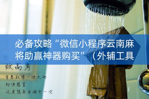 必备攻略“微信小程序云南麻将助赢神器购买”（外辅工具)