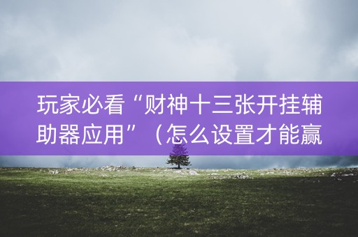 玩家必看“财神十三张开挂辅助器应用”（怎么设置才能赢)