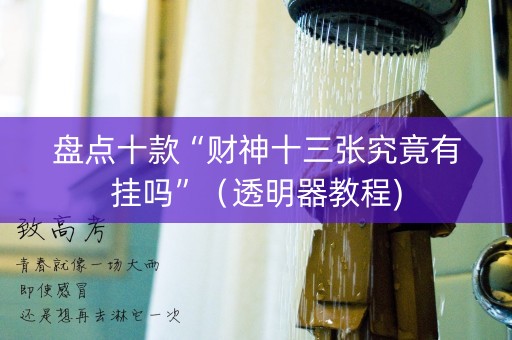 盘点十款“财神十三张究竟有挂吗”（透明器教程)