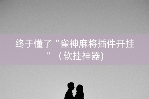 终于懂了“雀神麻将插件开挂”（软挂神器)