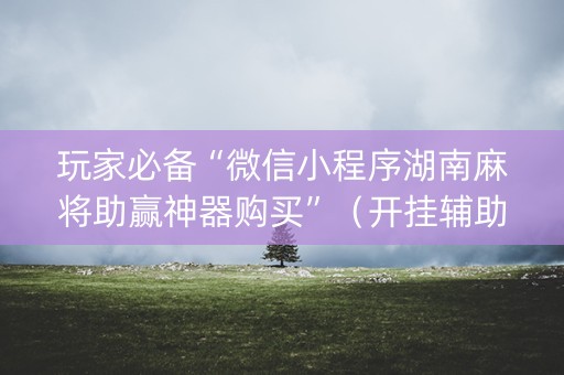 玩家必备“微信小程序湖南麻将助赢神器购买”（开挂辅助器插件)