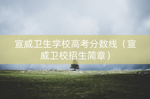 宣威卫生学校高考分数线（宣威卫校招生简章）