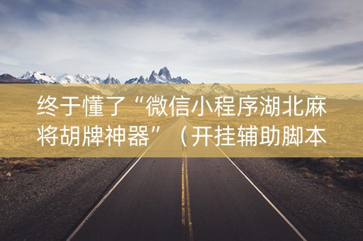 终于懂了“微信小程序湖北麻将胡牌神器”（开挂辅助脚本)