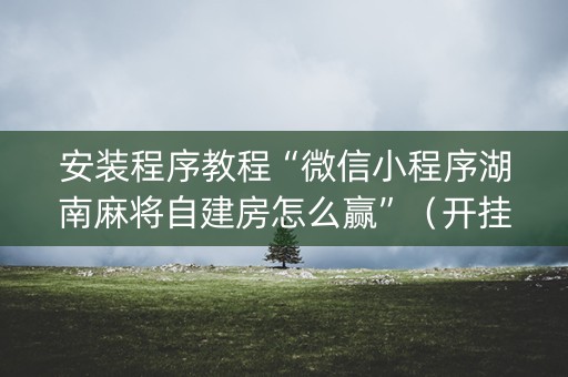 安装程序教程“微信小程序湖南麻将自建房怎么赢”（开挂辅助插件)