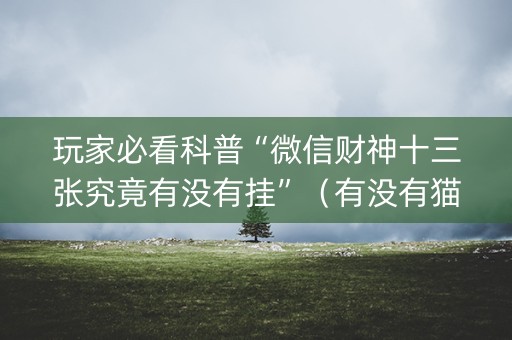 玩家必看科普“微信财神十三张究竟有没有挂”（有没有猫腻)
