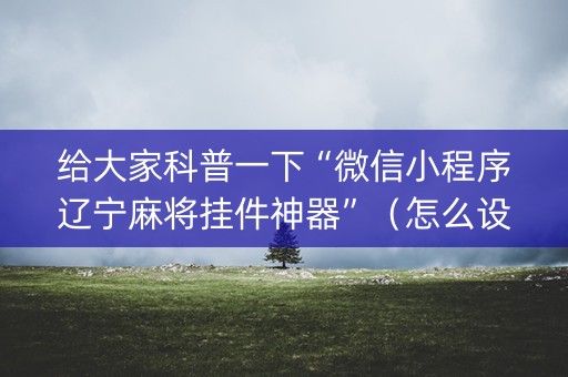 给大家科普一下“微信小程序辽宁麻将挂件神器”（怎么设置能有好牌)