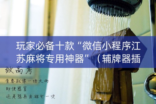 玩家必备十款“微信小程序江苏麻将专用神器”（辅牌器插件购买)