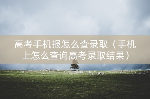 高考手机报怎么查录取（手机上怎么查询高考录取结果）