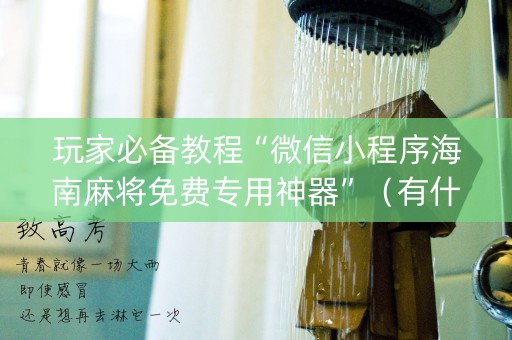 玩家必备教程“微信小程序海南麻将免费专用神器”（有什么规律)
