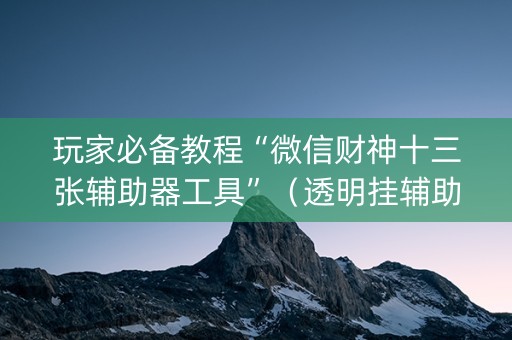 玩家必备教程“微信财神十三张辅助器工具”（透明挂辅助器)