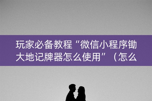 玩家必备教程“微信小程序锄大地记牌器怎么使用”（怎么增加胜率)