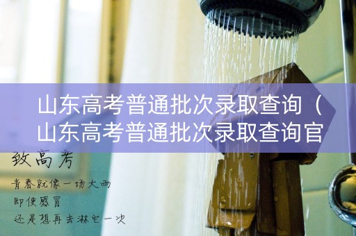 山东高考普通批次录取查询（山东高考普通批次录取查询官网）