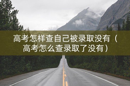 高考怎样查自己被录取没有（高考怎么查录取了没有）