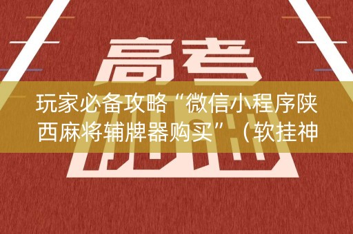 玩家必备攻略“微信小程序陕西麻将辅牌器购买”（软挂神器)