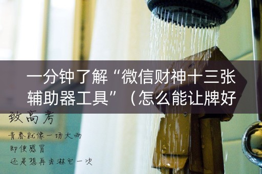 一分钟了解“微信财神十三张辅助器工具”（怎么能让牌好一点)