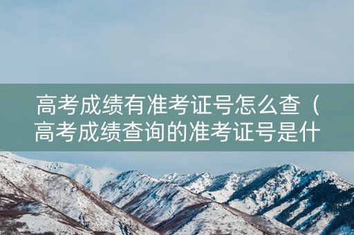 高考成绩有准考证号怎么查（高考成绩查询的准考证号是什么）