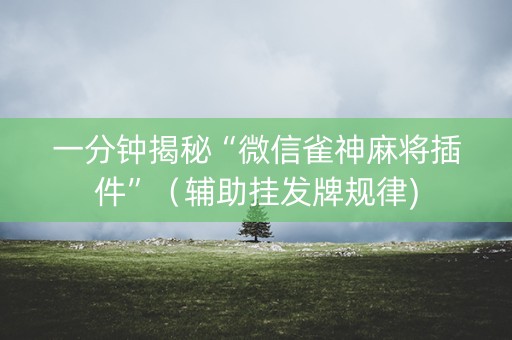 一分钟揭秘“微信雀神麻将插件”（辅助挂发牌规律)
