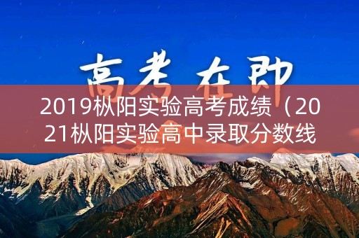 2019枞阳实验高考成绩（2021枞阳实验高中录取分数线是多少）