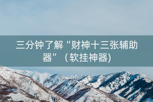 三分钟了解“财神十三张辅助器”（软挂神器)
