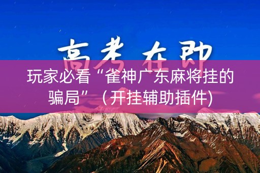 玩家必看“雀神广东麻将挂的骗局”（开挂辅助插件)