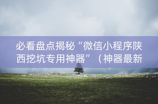 必看盘点揭秘“微信小程序陕西挖坑专用神器”（神器最新免费)