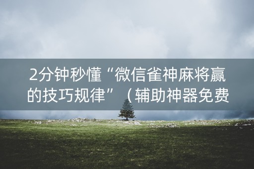 2分钟秒懂“微信雀神麻将赢的技巧规律”（辅助神器免费)