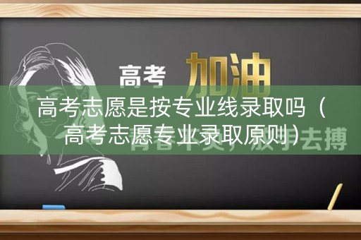 高考志愿是按专业线录取吗（高考志愿专业录取原则）
