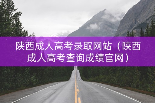 陕西成人高考录取网站（陕西成人高考查询成绩官网）