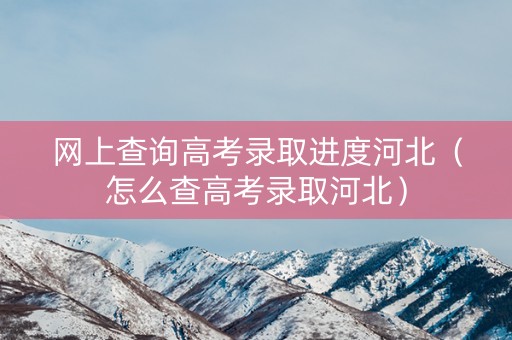 网上查询高考录取进度河北（怎么查高考录取河北）