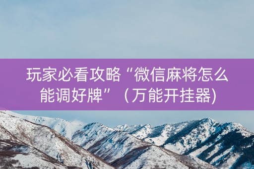 玩家必看攻略“微信麻将怎么能调好牌”（万能开挂器)