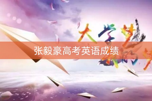 张毅豪高考英语成绩