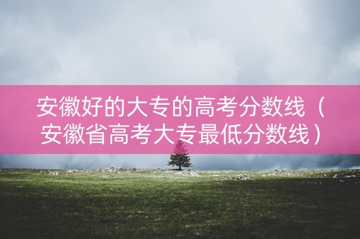 安徽好的大专的高考分数线（安徽省高考大专最低分数线）