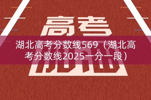 湖北高考分数线569（湖北高考分数线2025一分一段）