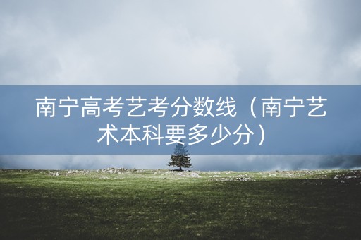 南宁高考艺考分数线（南宁艺术本科要多少分）