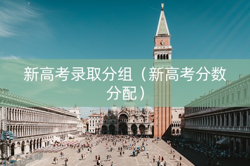 新高考录取分组（新高考分数分配）