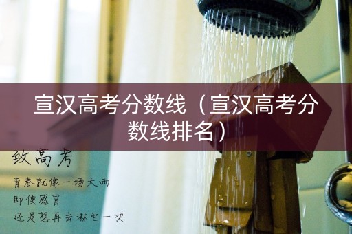 宣汉高考分数线（宣汉高考分数线排名）