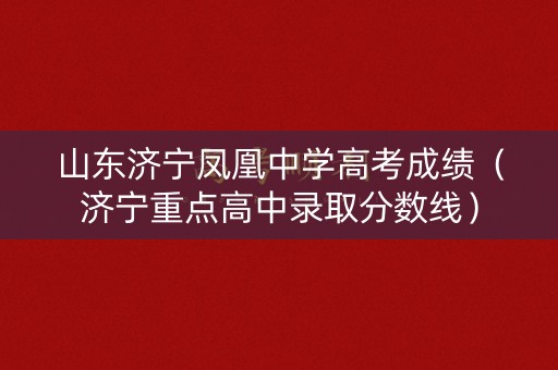 山东济宁凤凰中学高考成绩（济宁重点高中录取分数线）