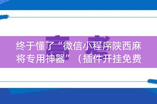 终于懂了“微信小程序陕西麻将专用神器”（插件开挂免费AI)