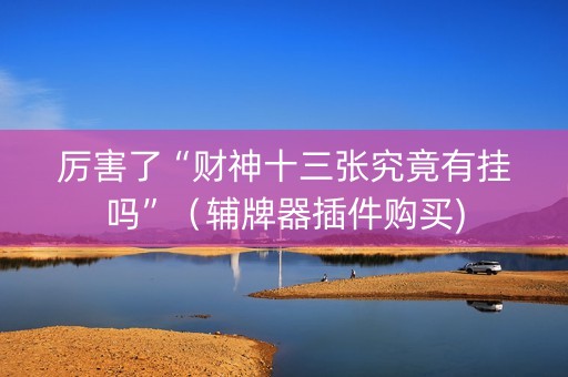厉害了“财神十三张究竟有挂吗”（辅牌器插件购买)