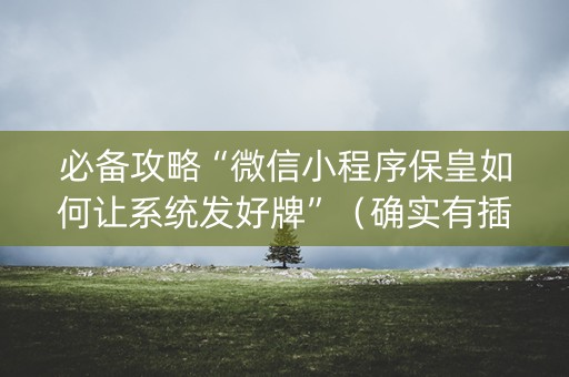 必备攻略“微信小程序保皇如何让系统发好牌”（确实有插件吗)