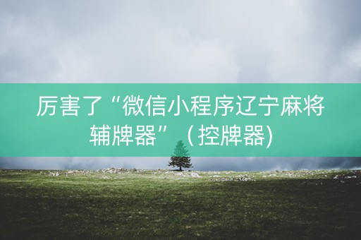 厉害了“微信小程序辽宁麻将辅牌器”（控牌器)