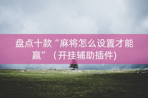 盘点十款“麻将怎么设置才能赢”（开挂辅助插件)