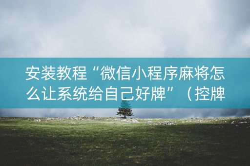 安装教程“微信小程序麻将怎么让系统给自己好牌”（控牌器)