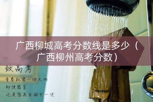 广西柳城高考分数线是多少（广西柳州高考分数）