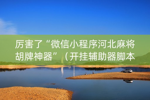 厉害了“微信小程序河北麻将胡牌神器”（开挂辅助器脚本)
